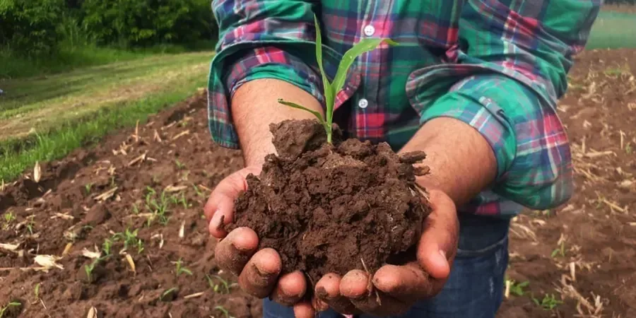 Illustrative image of Organic soil management in Allentown